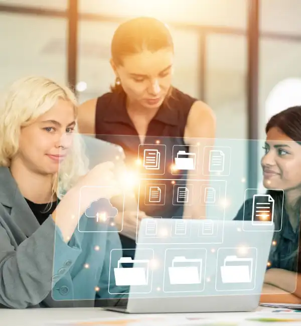 auditing services